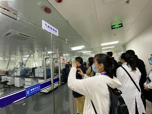 信息技術(shù)咨詢服務(wù)為落實‘六穩(wěn)六保’注入強勁動力 中國-東盟檢驗檢測認(rèn)證高技術(shù)服務(wù)集聚區(qū)賦能企業(yè)騰飛