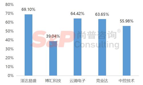 軟件和信息技術(shù)服務(wù)業(yè)企業(yè)IPO募投項目設(shè)計與審核要點——以信息技術(shù)咨詢服務(wù)為例